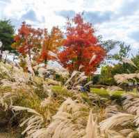 Beautiful Autumn Of Suwon Hwaseong Fortress 