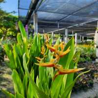 Picturesque University in Kelantan