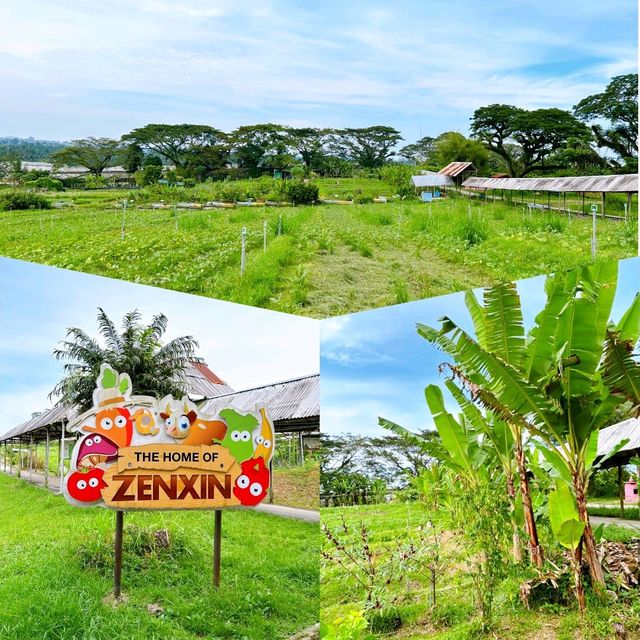 Educational Trip to Zenxin Organic Park