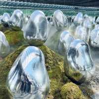 日本東京潮人必去~Teamlab planets