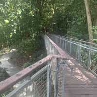 Imbiah Bridge in Sentosa