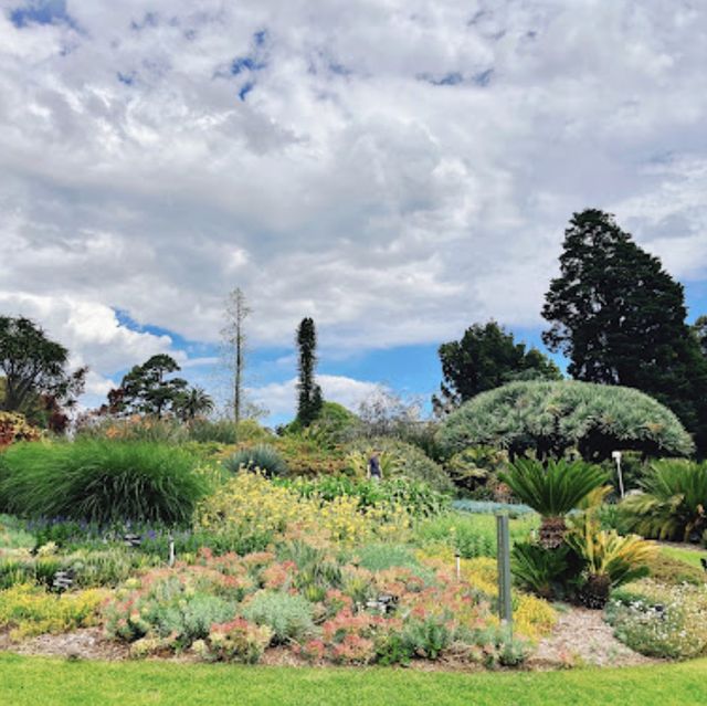 The Royal Botanic Gardens