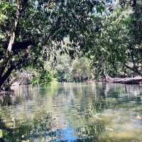 สวนรุกขชาติมวกเหล็ก Muak Lek Arboretum 