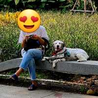 สวนเบญจกิติ

Benchakitti Park