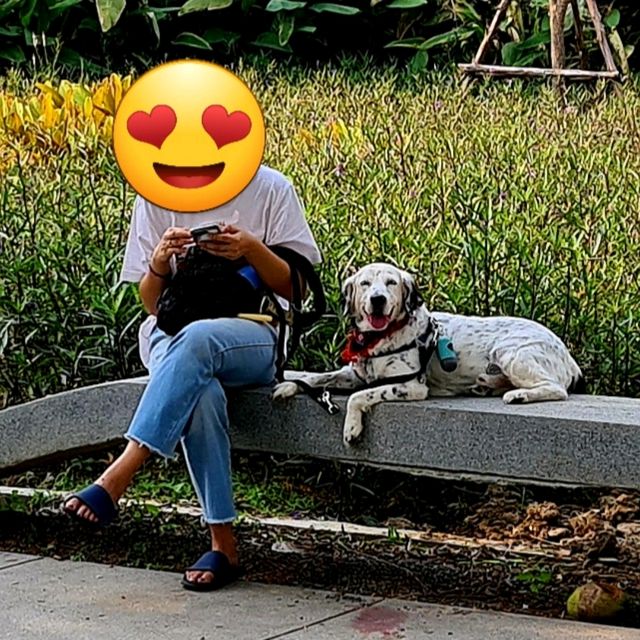สวนเบญจกิติ

Benchakitti Park