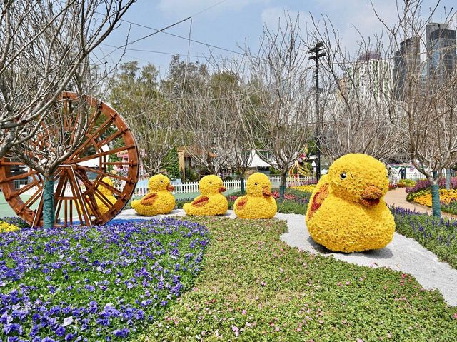 香港花卉展覽明日維多利亞公園揭幕