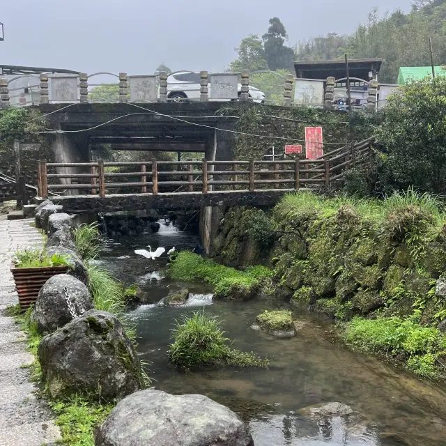 台北4日遊