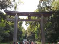 Meiji Shrine, calamity in the heart of Tokyo