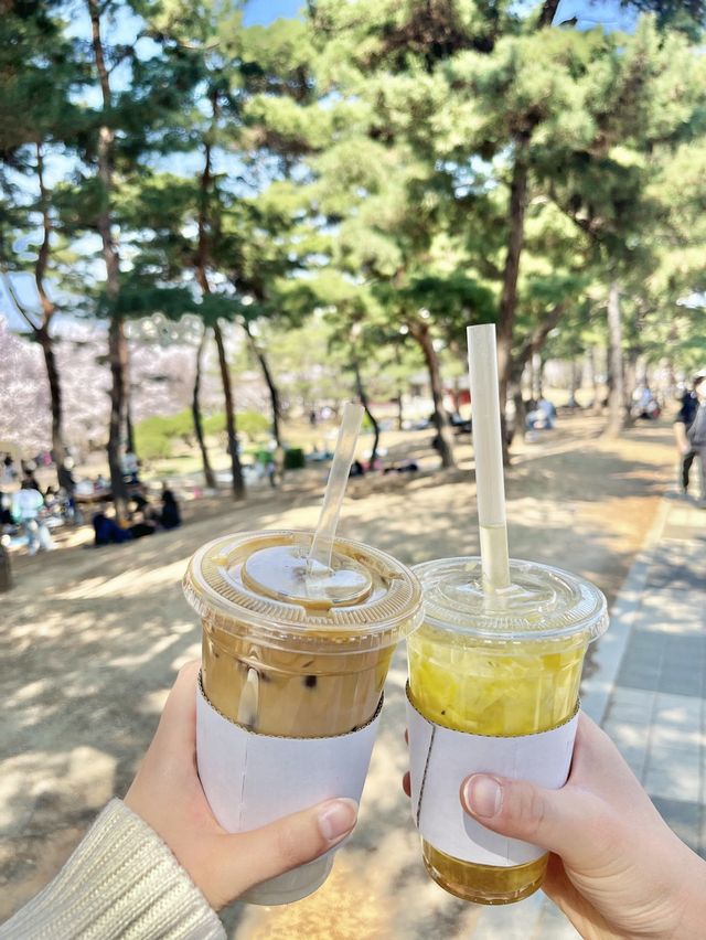 수원 벚꽃명소 🌸만석공원🌸