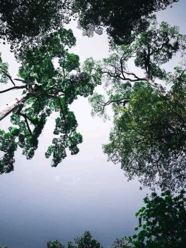 อุทยานแห่งชาติน้ำตกโยง อ.ทุ่งสง จ.นครศรีธรรมราช 