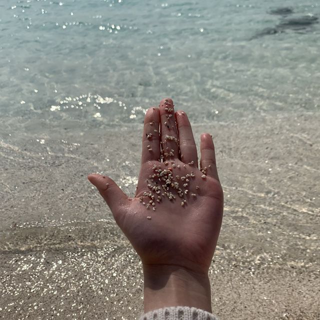 투명한 제주 우도 서빈백사🌊✨