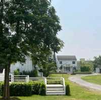 Way Farm Cafe & Restaurant  สไตล์ยุโรป
