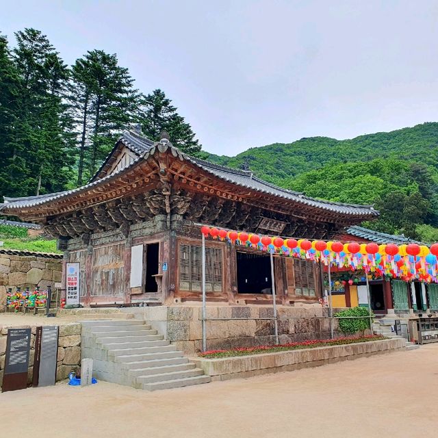 파주, 보광사 자연속에서 고즈넉한 감성이 터지다!