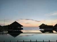 🌊 Elegant Tropical Villas at Avani Sepang
