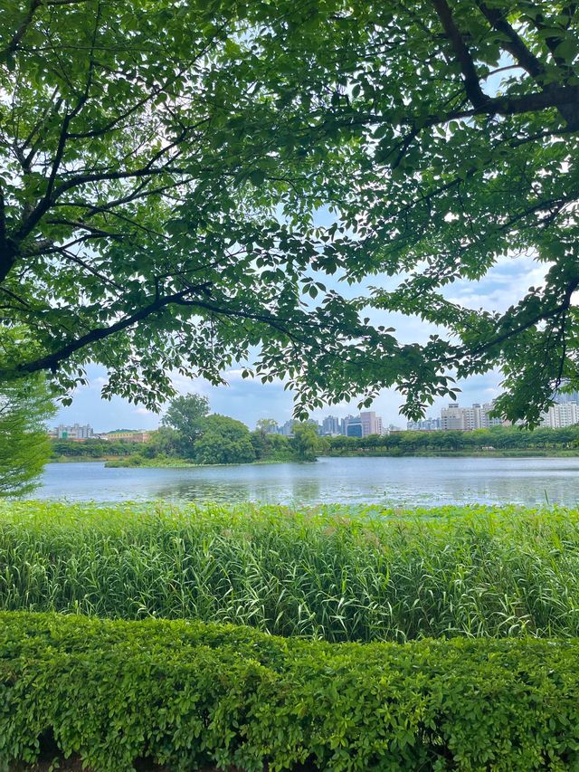 수원 만석공원 피크닉💛