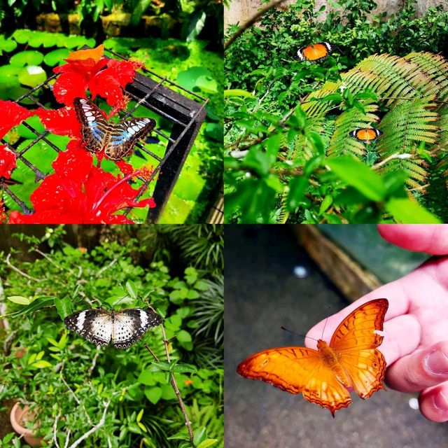 Entopia by Penang Butterfly Farm