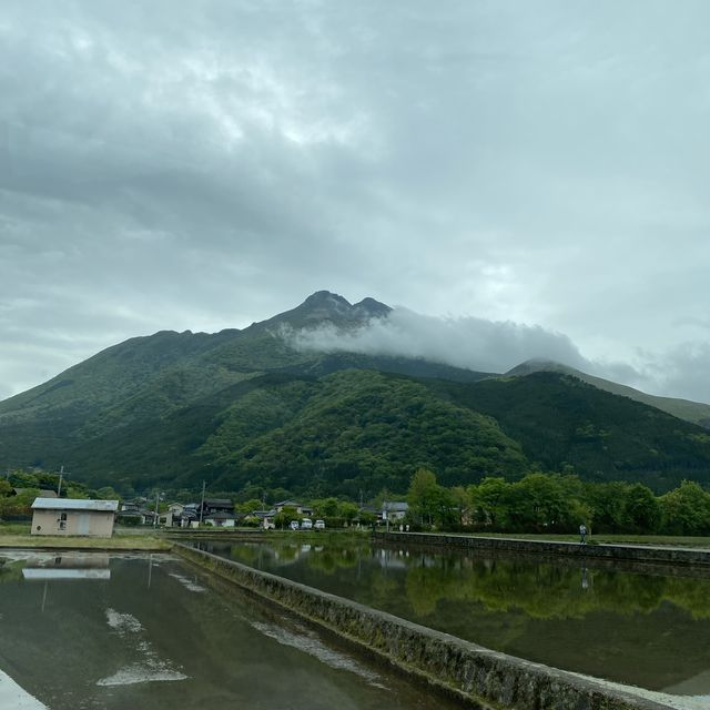 #福岡親子遊 #DAY2 由布院日式溫泉旅館♨️