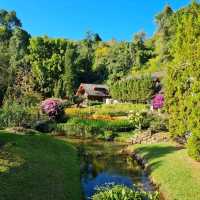 รีวิว โรงแรม Flora Creek เชียงใหม่