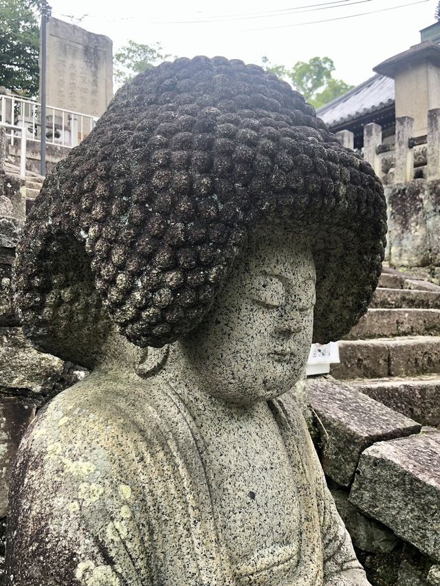 【京都】こんな大仏見たことない！アフロ大仏をご紹介