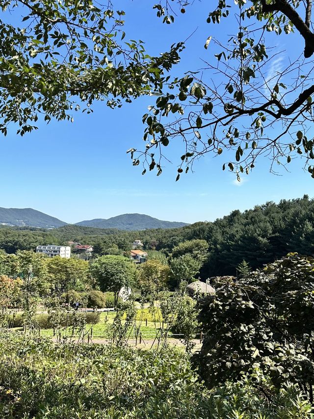 자연과 함께 힐링할 수 있는 용인농촌테마파크🍃
