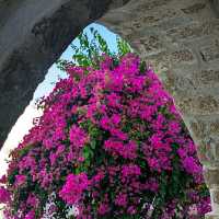 PICTURESQUE NAXOS ISLAND, GREECE!