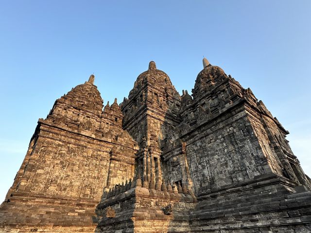 A Thousand Stories in Stone