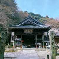 ⛩️🌸 雷山千如寺：靜謐與美麗的禪修之旅 🍃🏯✨