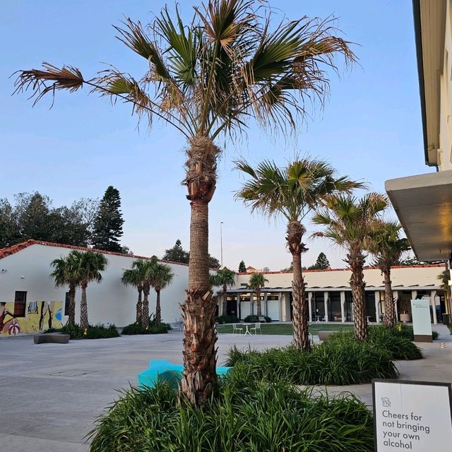 澳洲最著名的海灘之一「邦迪海灘」🏖