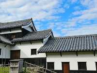Fukuoka at First Glance