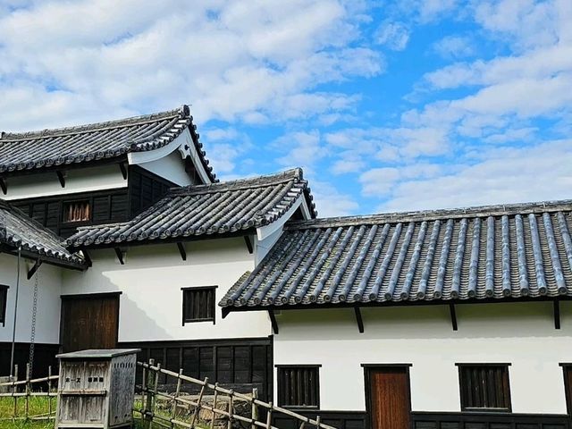 Fukuoka at First Glance