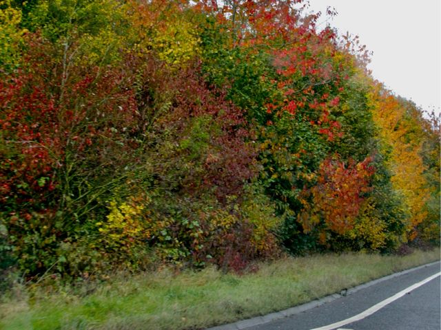 Amazing Autumn road to Stonehenge from Bath