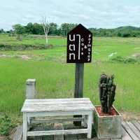 นาตาทา Cafe’ and Farm Stay