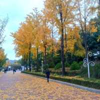 韓國必去免費親子遊 - 兒童大公園