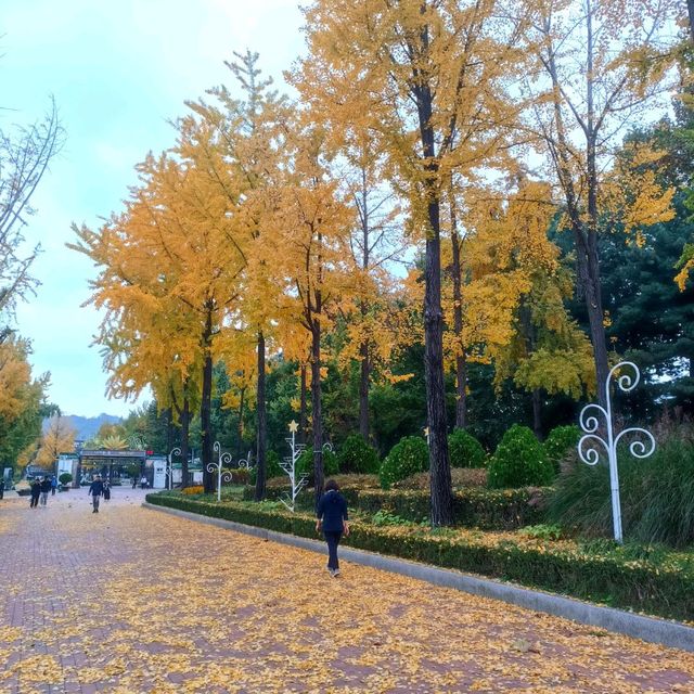 韓國必去免費親子遊 - 兒童大公園