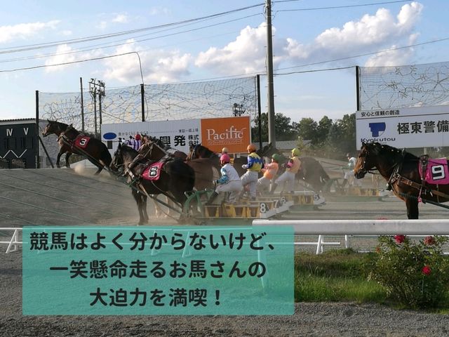 日帰りで♪帯広弾丸ドライブ
