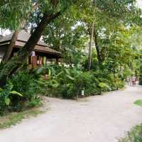 🇹🇭코사무이 차웽 비치에서 머물기 좋은 리조트-chaweng garden beach resort