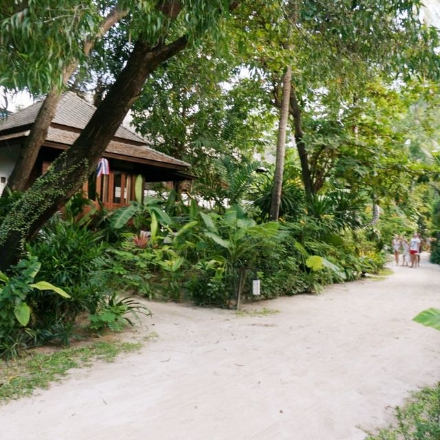 🇹🇭코사무이 차웽 비치에서 머물기 좋은 리조트-chaweng garden beach resort