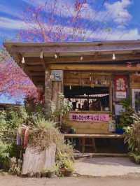 โปโป&ปิงปิง ร้านสไตล์ญี่ปุ่นมีดอกพญาเสือโคร่งงาม