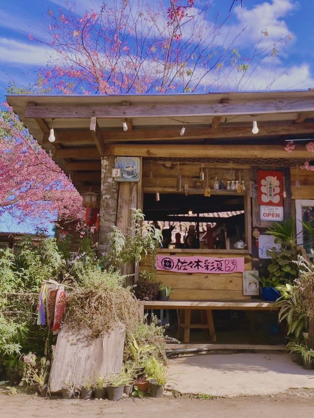 โปโป&ปิงปิง ร้านสไตล์ญี่ปุ่นมีดอกพญาเสือโคร่งงาม