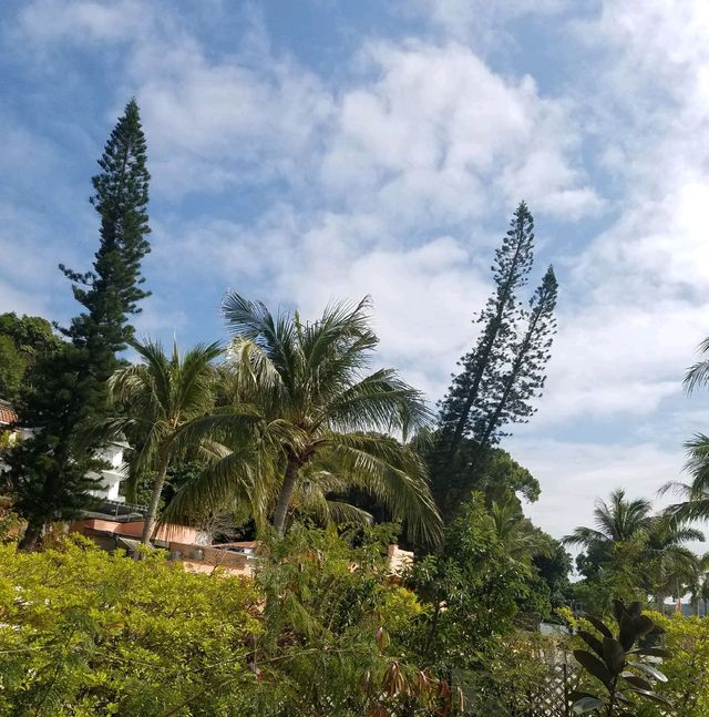 西貢香港遊艇會和花園，三星灣，白沙灣，風光如畫！