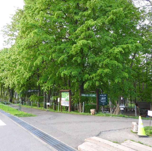 時尚與自然的結合 新富良野王子大酒店 