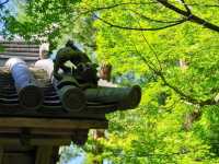 【京都市】静かに感じる和の境地🌿
