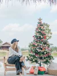 คาเฟ่ลับบรรยากาศดีที่เวียงป่าเป้า จ.เชียงราย