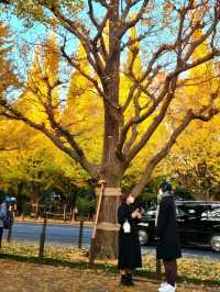 BEEN THERE, DONE THAT, AUTUMN IN JAPAN