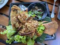 ร้านอร่อย บรรยากาศเหมือนทานในป่า ร่มรื่นมาก