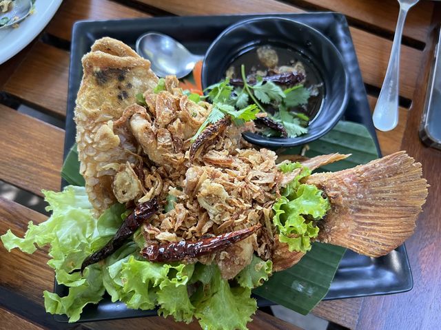 ร้านอร่อย บรรยากาศเหมือนทานในป่า ร่มรื่นมาก