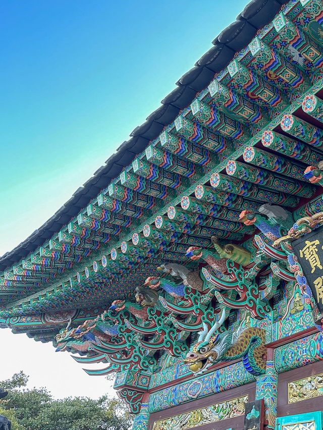 여수여행 간다면 향일암 추천
