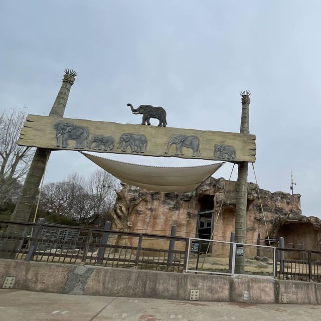 서울 도심 속 무료 동물원🐘