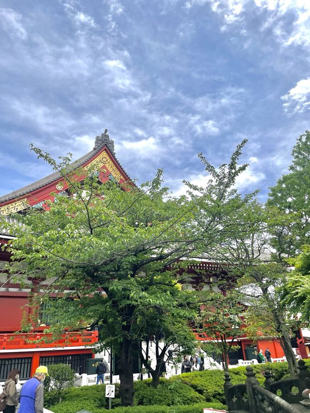 도쿄 필수 관광지 "센소지"⛩️