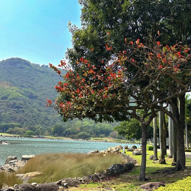 香港最舒服的公園 - 迪欣湖
